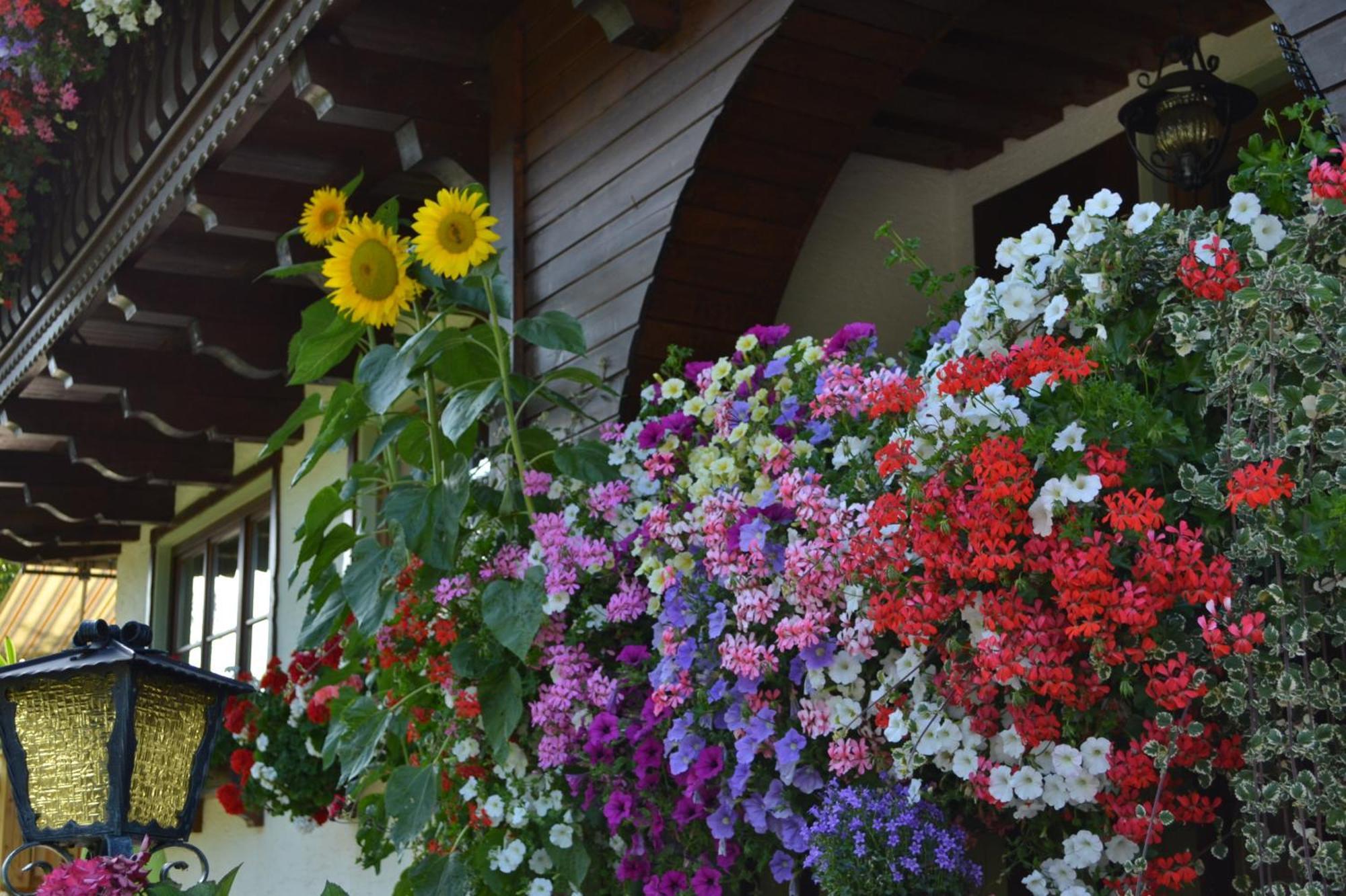 Haus Thurner Wagrain Luaran gambar
